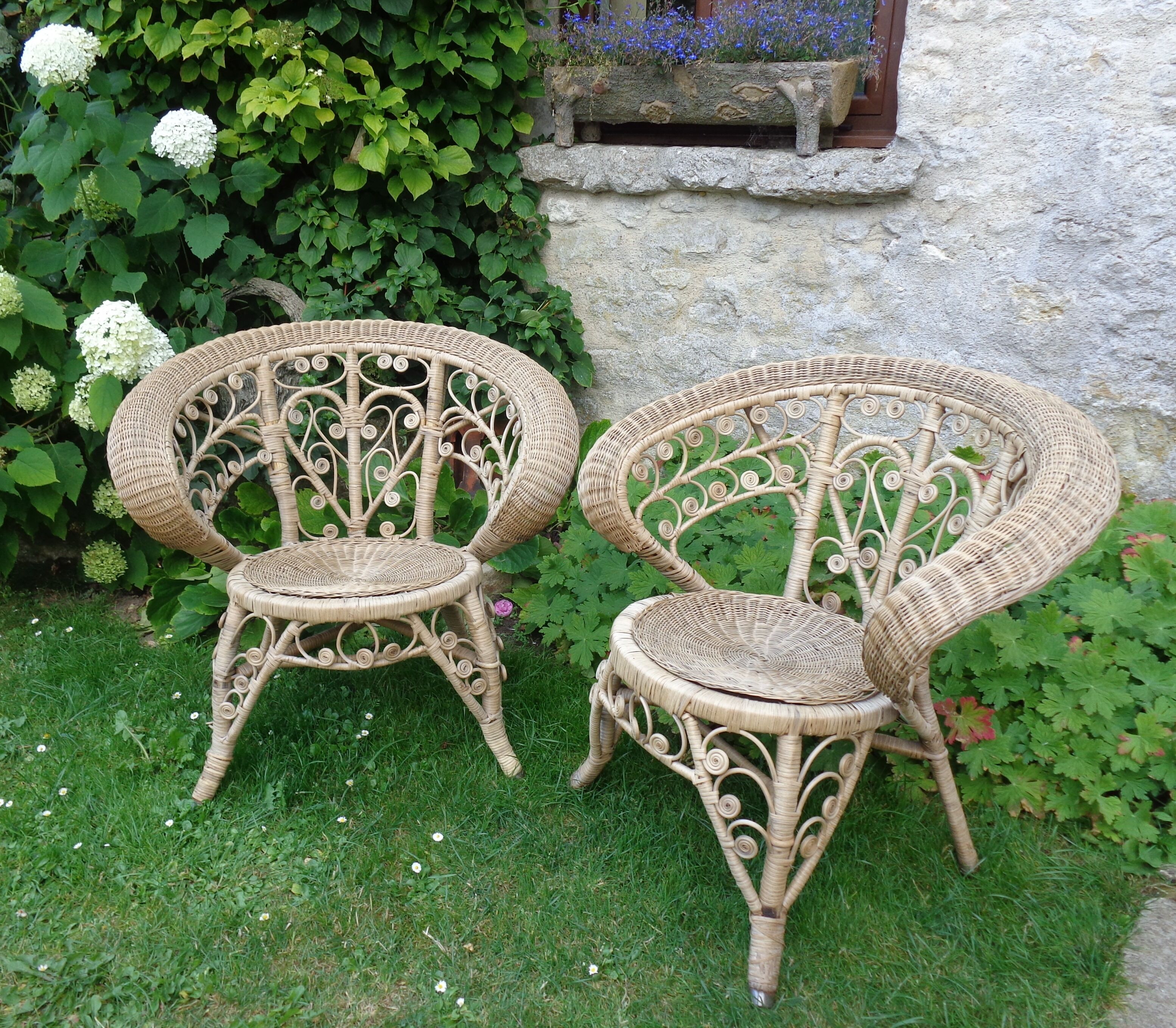 Pair of vintage rattan peacock armchairs