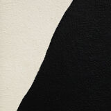 Black form B01