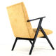 mid century modern vintage Armchair 'De Lier' - fully restored