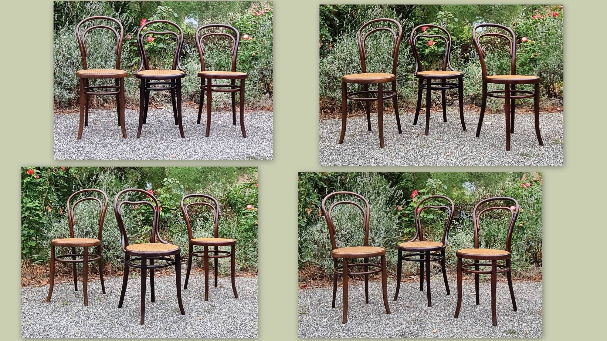 Trio chairs bistrot Thonet, Fischel and Mundus early twentieth century