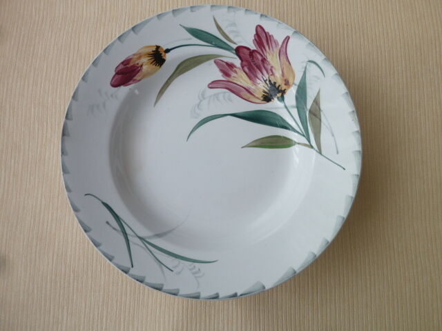 Set of 6 hollow plates in Earthenware of St Amand Hamage