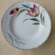 Set of 6 hollow plates in Earthenware of St Amand Hamage