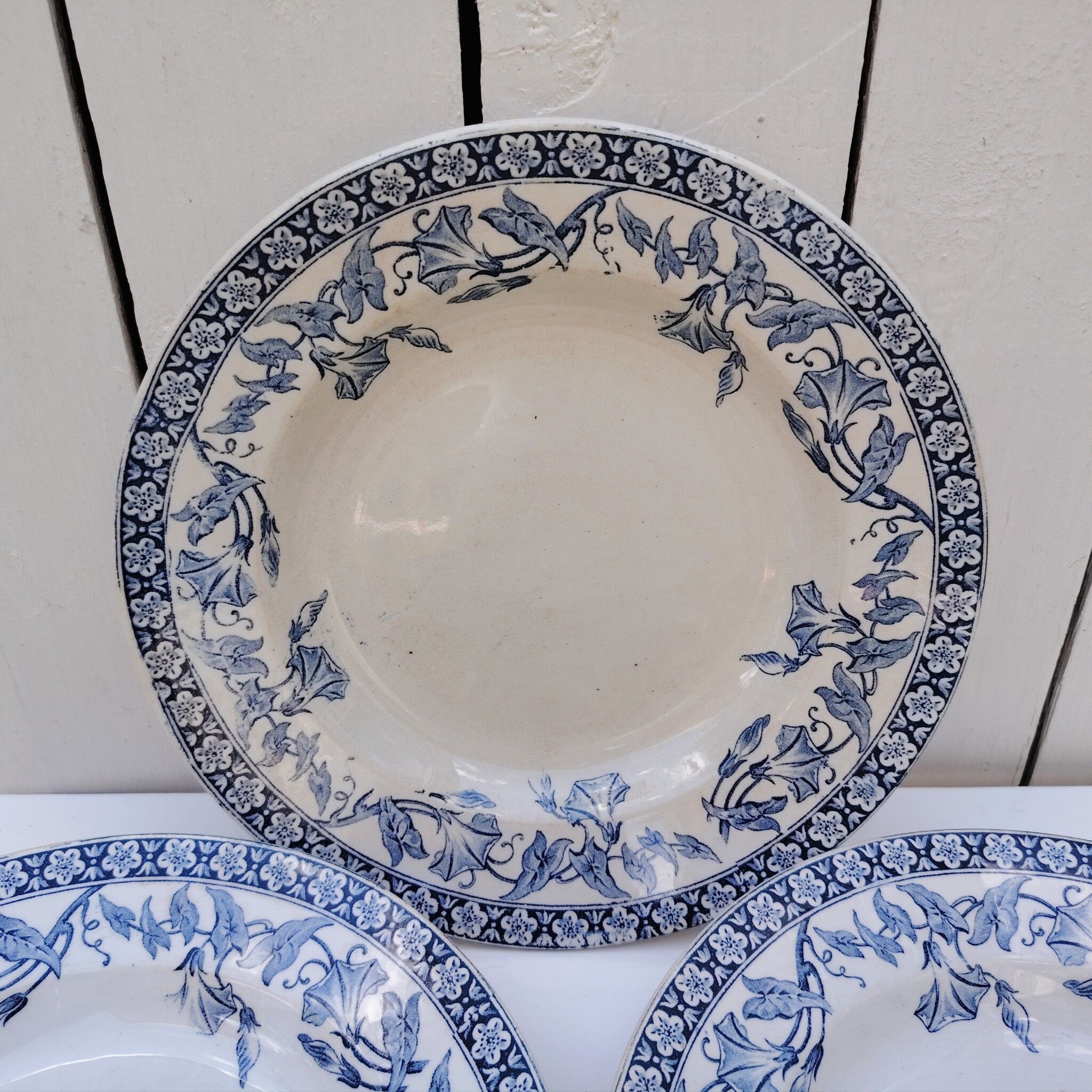 Assiettes creuses, Saint Amand modèle Volubilis, terre de fer