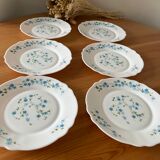 Vintage forget-not dessert plates