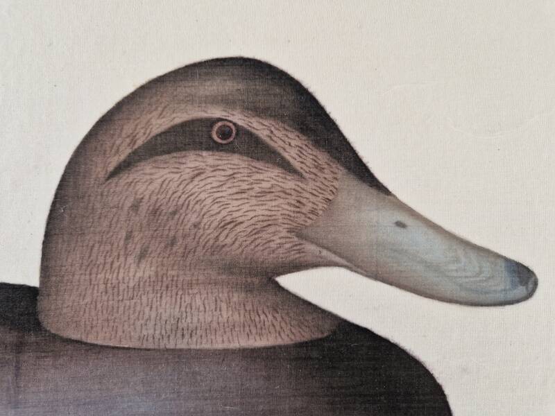 La Roche Laffitte (Born in 1943) - Watercolour drawing on fabric - Duck