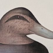 La Roche Laffitte (Born in 1943) - Watercolour drawing on fabric - Duck