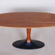 Czech Mid-Century Rosewood Oval Table with Cast Iron Base, 1950s