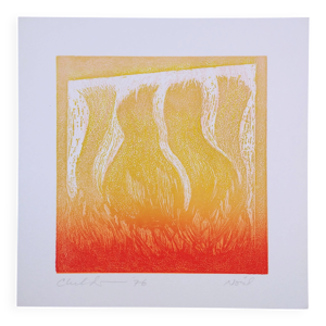eau forte- aquatinte-