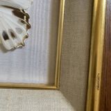 Naturalized butterfly frame, Papilionaceous argeus Borneo.