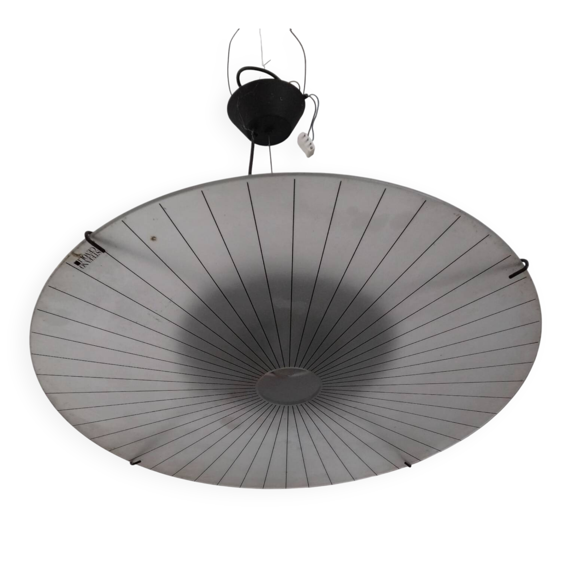 Suspension Stefano Cevoli