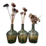 Series of 3 ladies jeanne / carboys