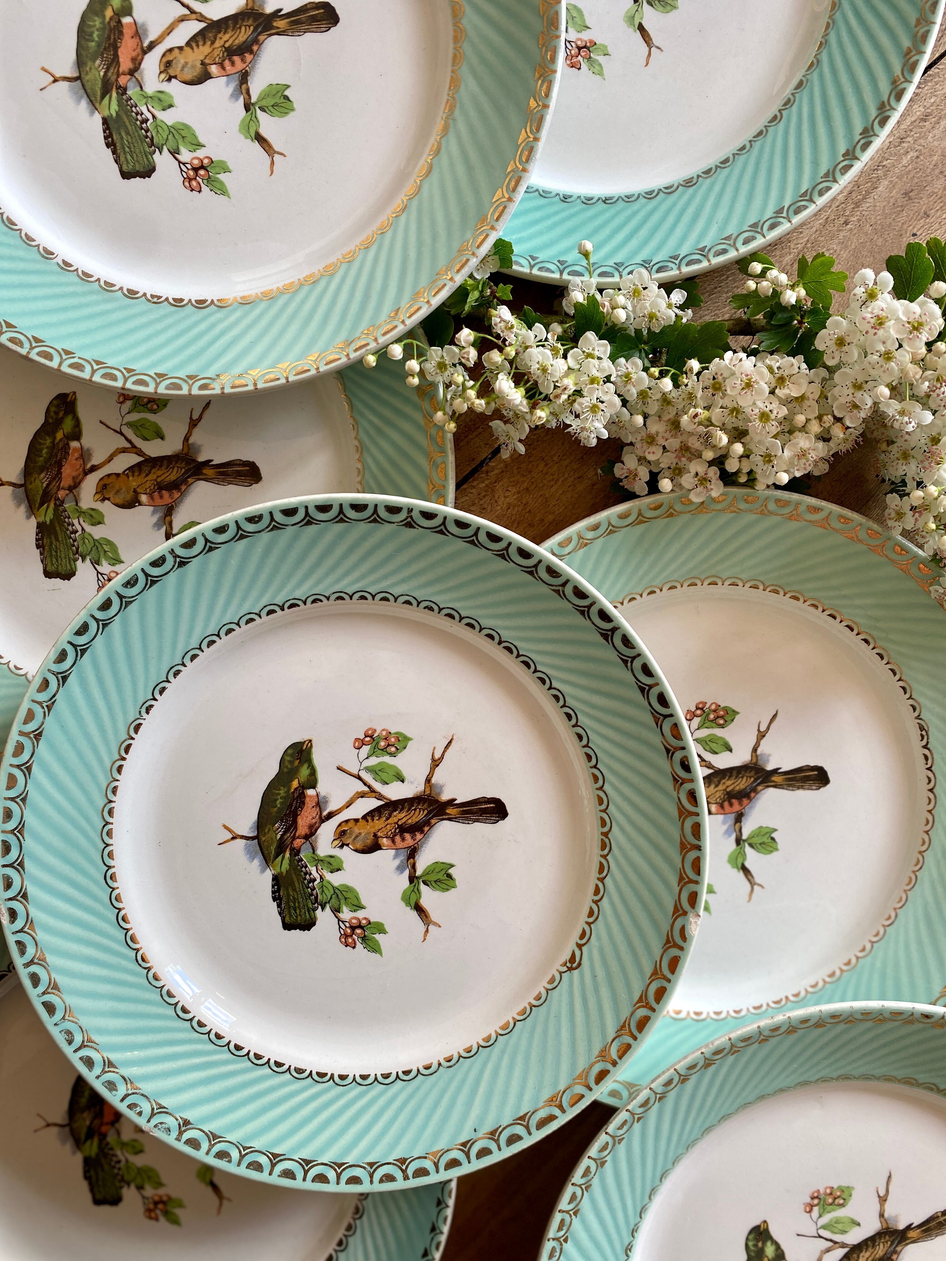 Set of 10 vintage flat plates with bird drawings