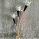 Pair of Lunel wall lights in brass and glass