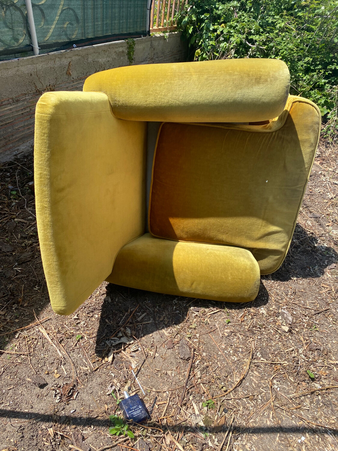 Toad armchair