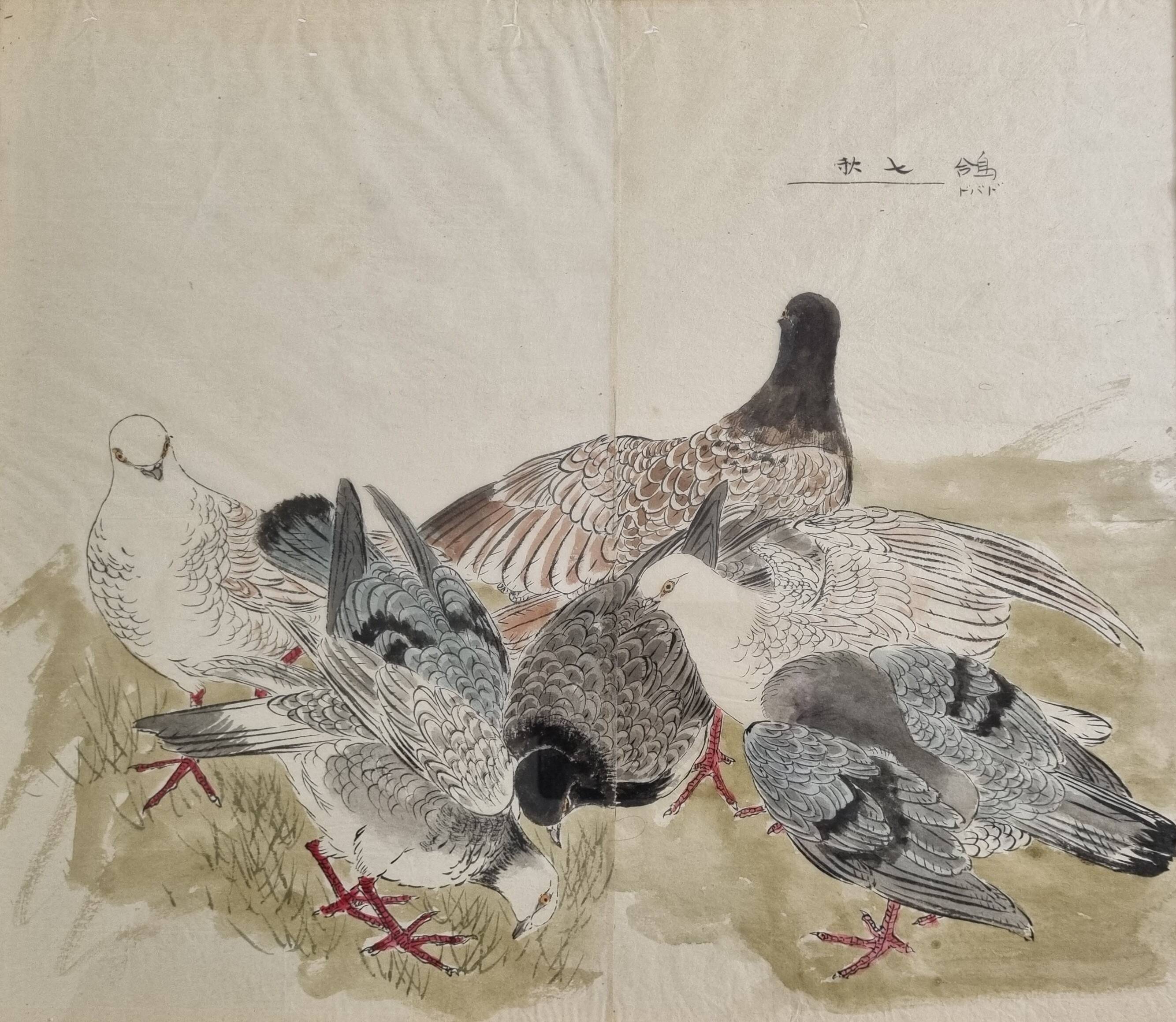 Ancient Japanese watercolour The Wood of Pigeons signed circa 1900 42x48 cm
