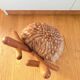 Bambi chair designer Takeshi Sawada - EO Copenhagen - Collector's item