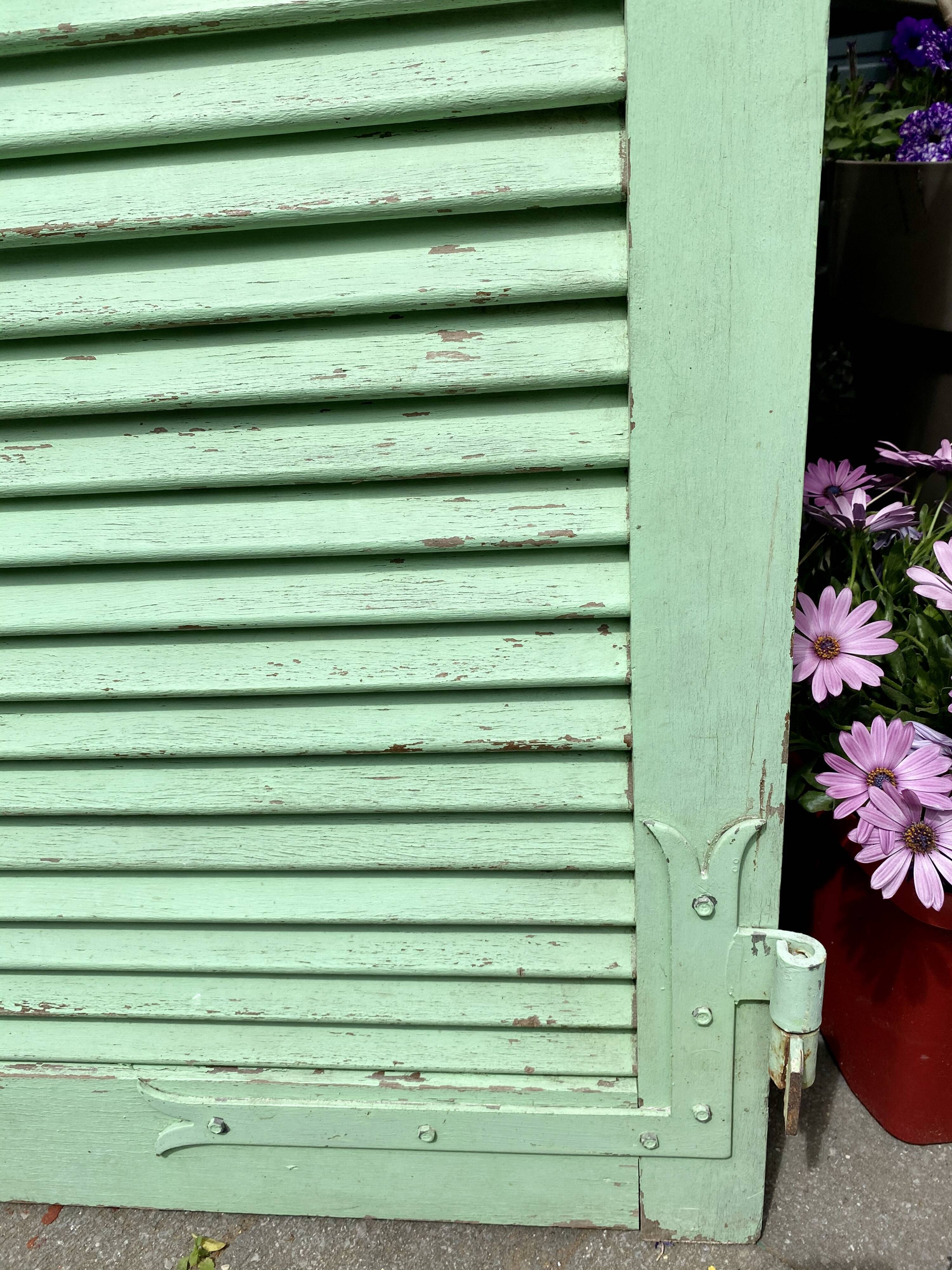 Ancient persian-coloured wood-wood mint