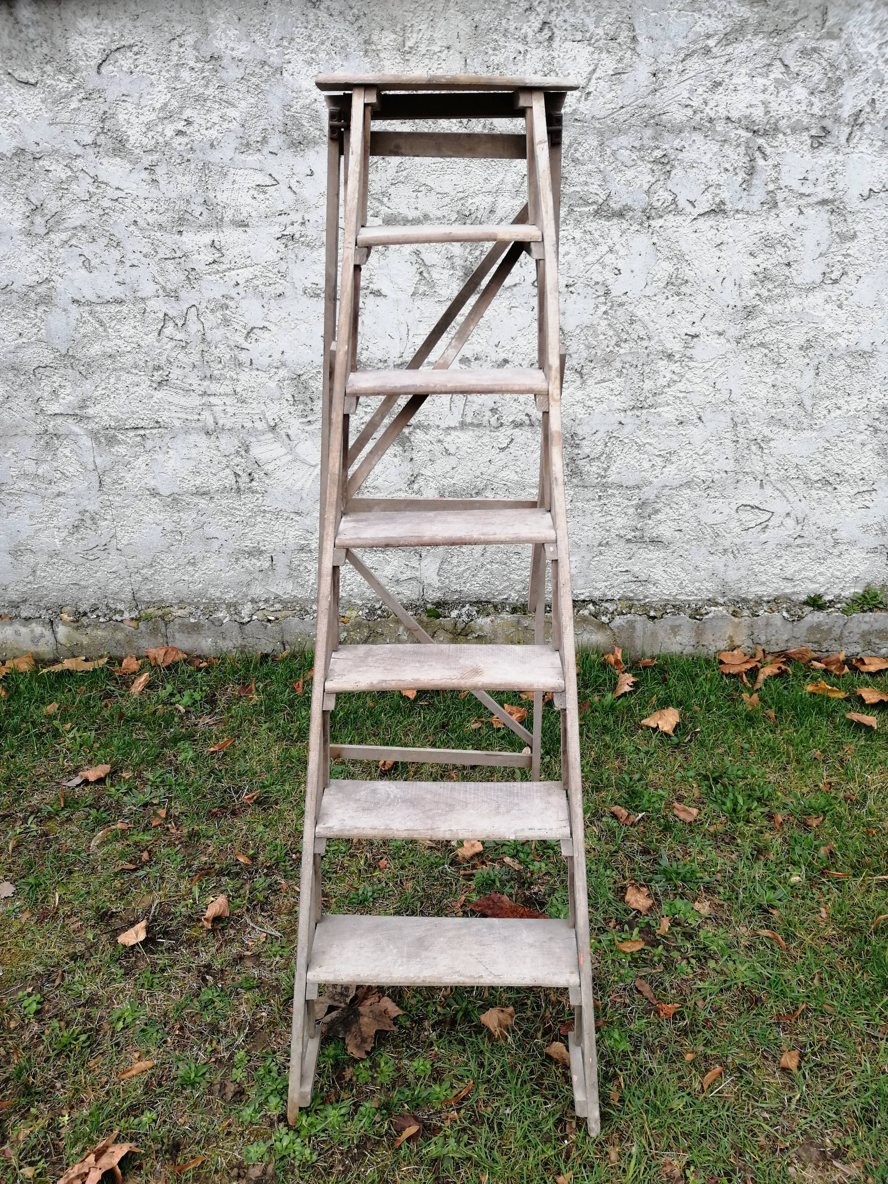 Old ladder