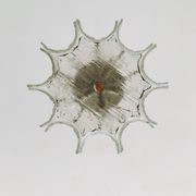 Ice Glass Chandelier by Kaiser Leuchten