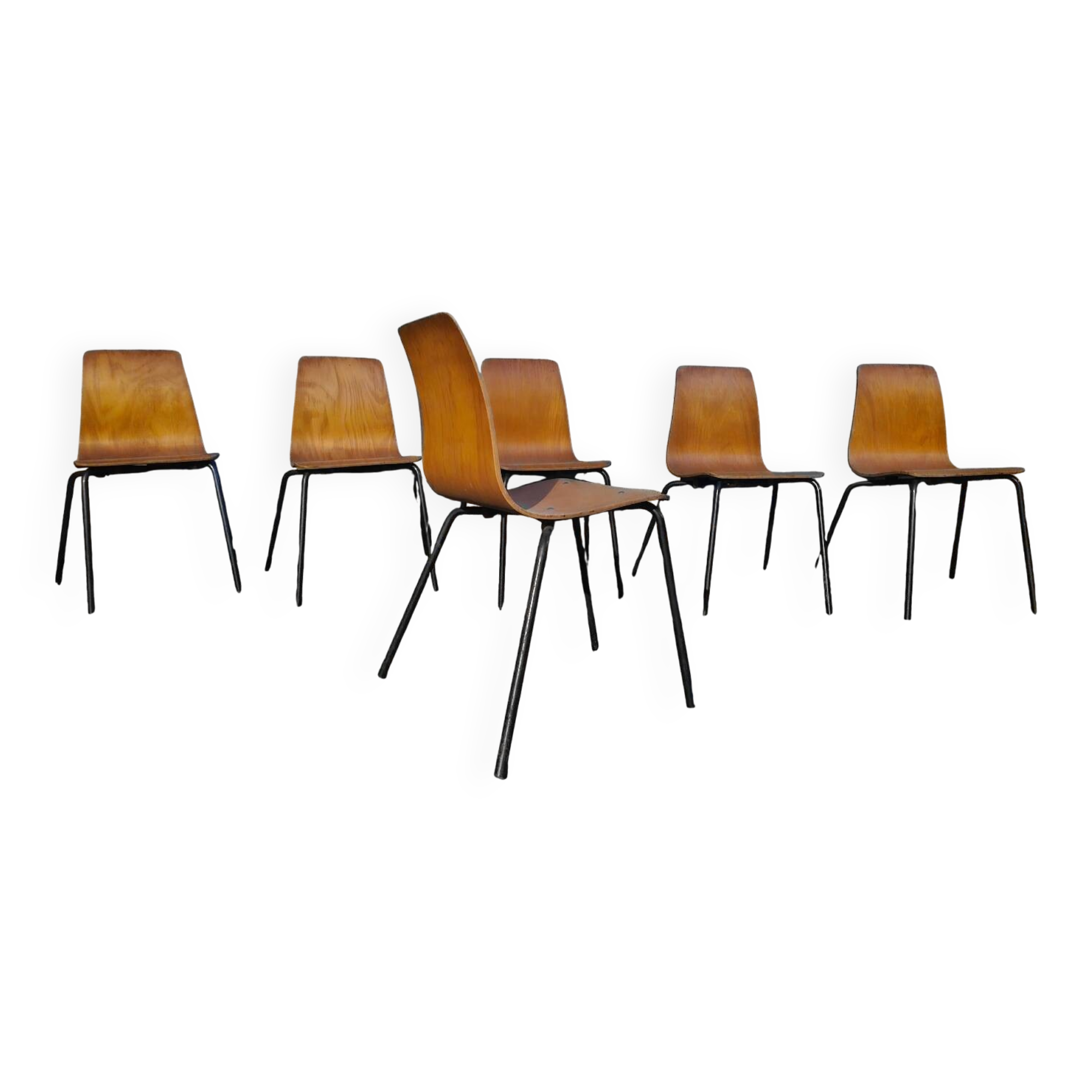 Suite de 6 Chaises Pierre Guariche modèle Papyrus Édition Steiner 1950