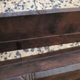 Beautiful pair of caterpillars