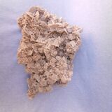 Rose des sables du désert du Sahara
