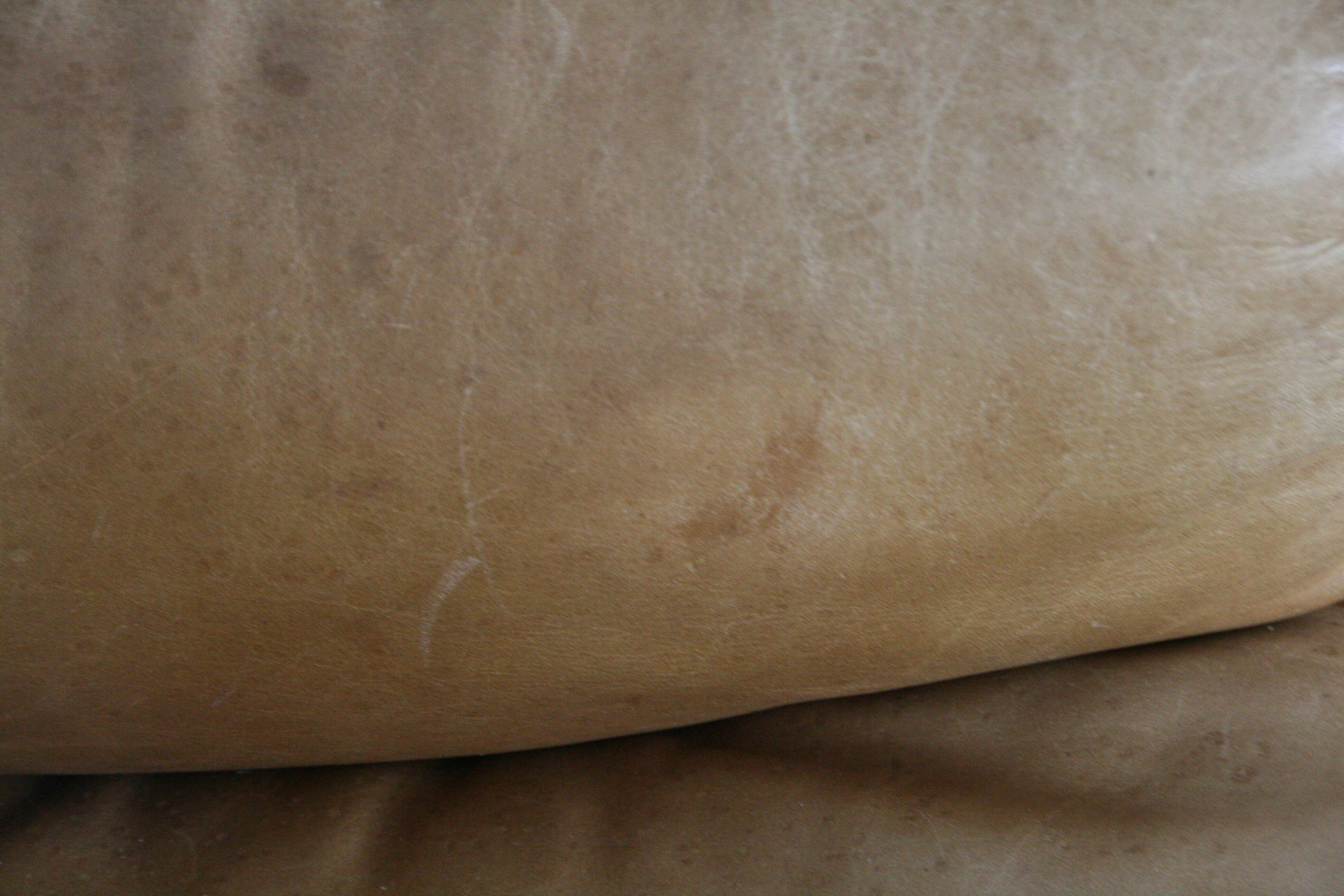 Teak and leather club armchairs