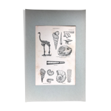 Original vintage geology board