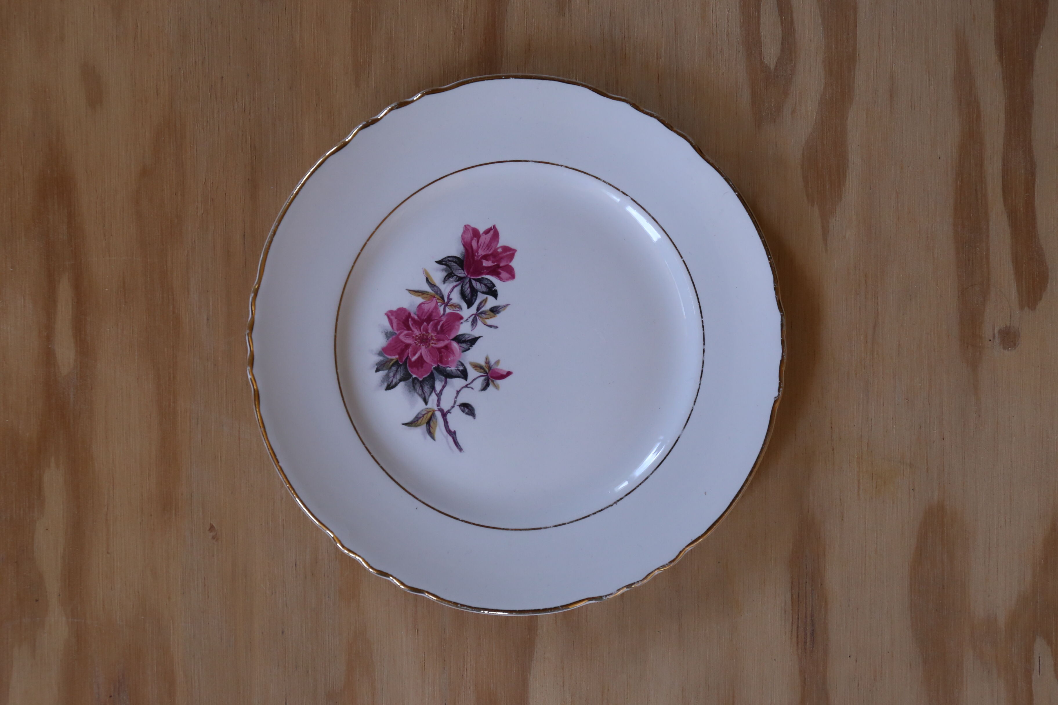 6 small vintage plates Orchies Moulin des Wolves