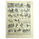 Antique Engravings - 1928 by L. Bombled - Horse Riding - Illustration