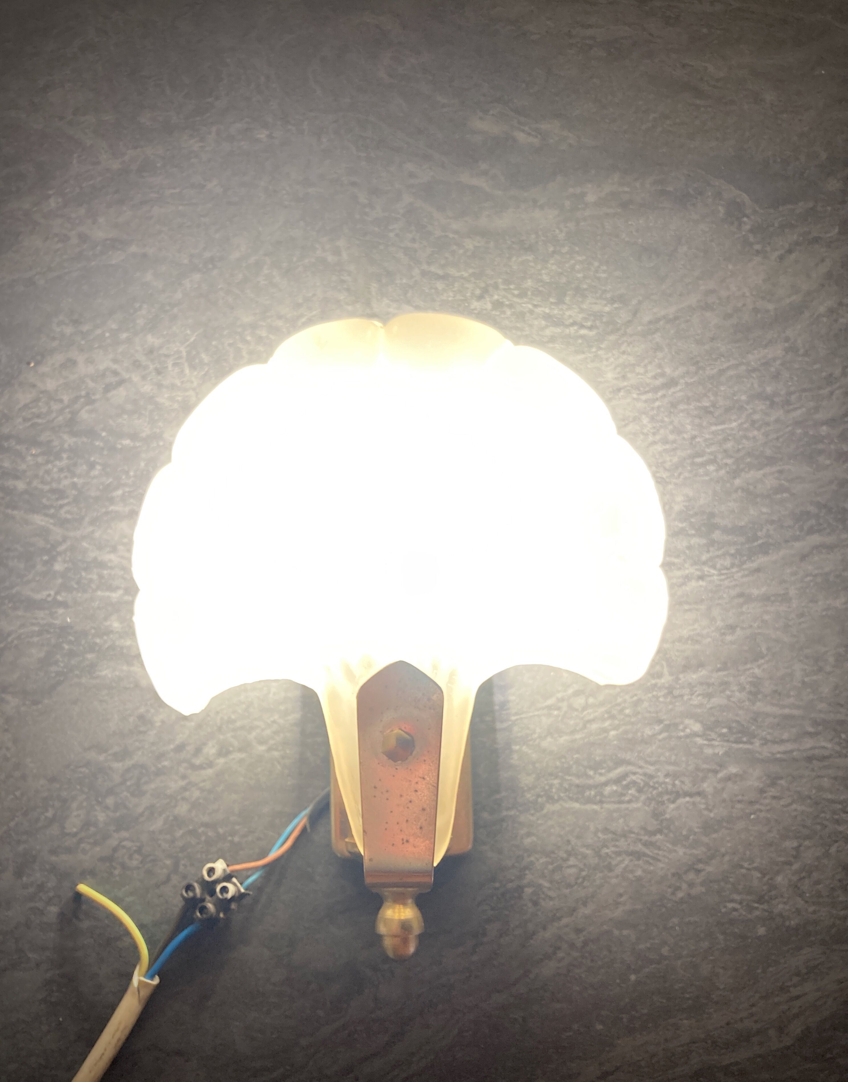 Frosted glass shell wall lamps