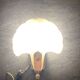Frosted glass shell wall lamps