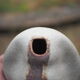 Free-form Soliflore - cracked white enamel - organic ceramic - 80s