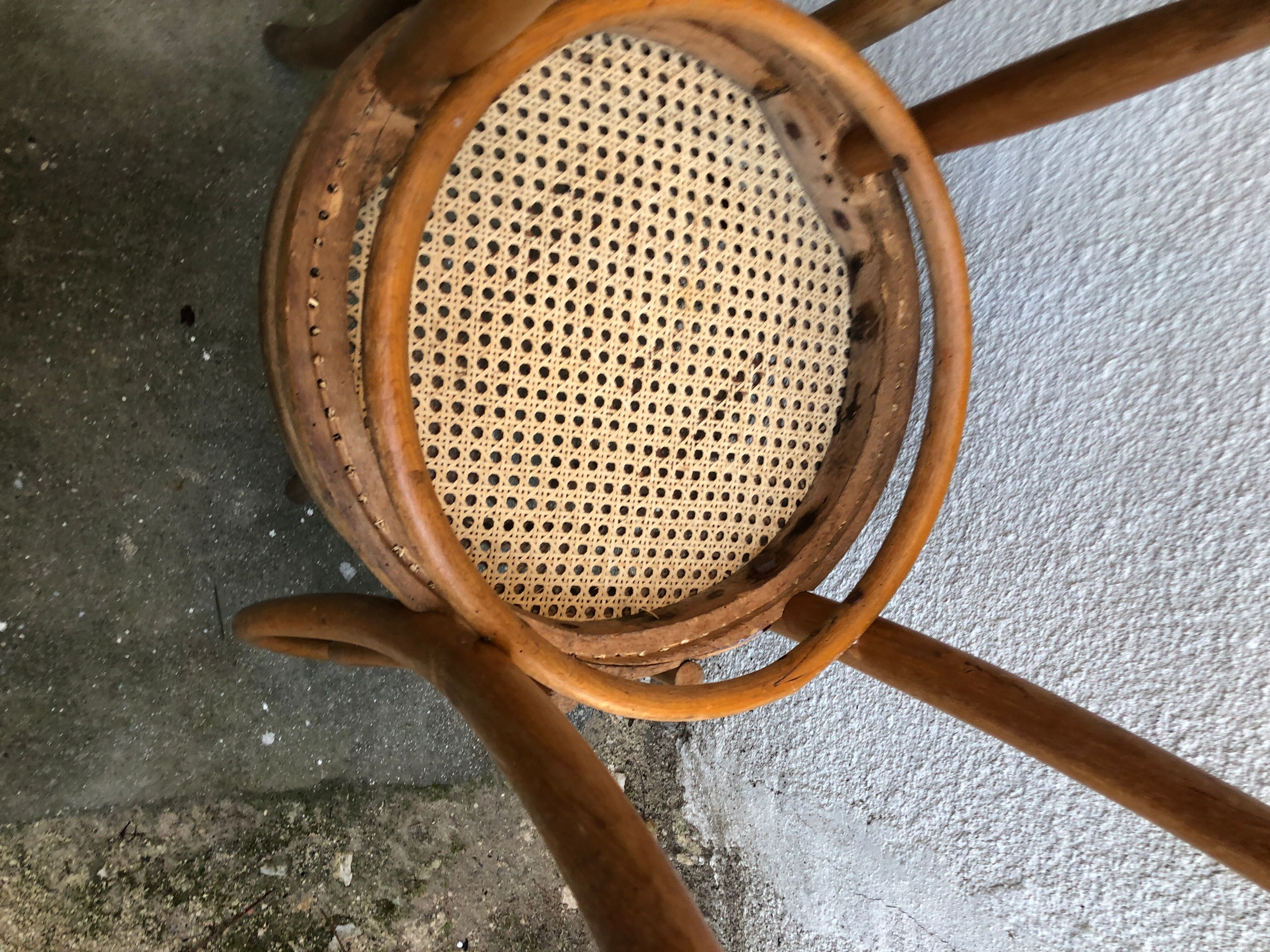 Thonet chairs