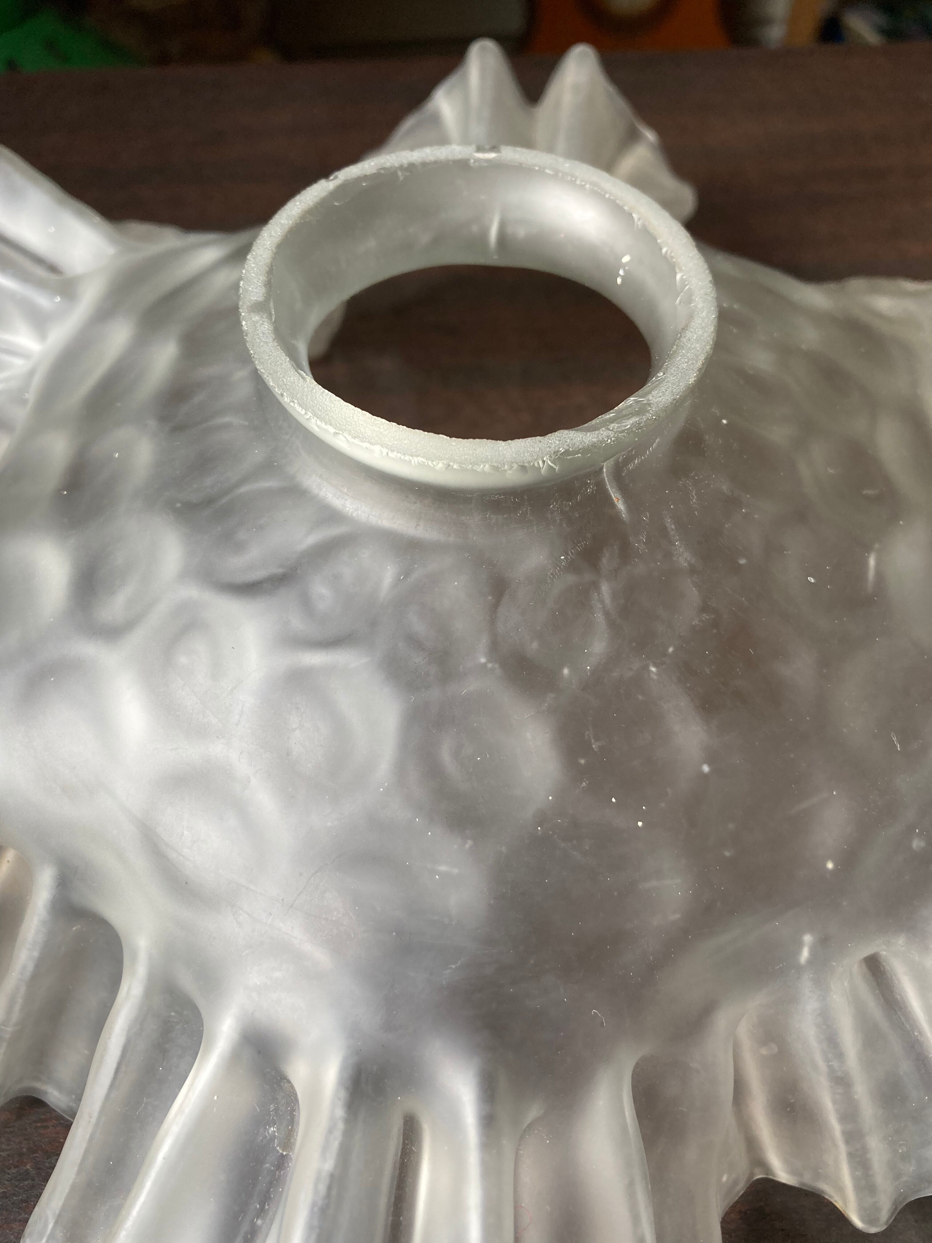 Transparent molded glass suspension in flower shape