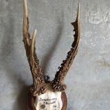 Vintage Scandinavian Hunting Trophy