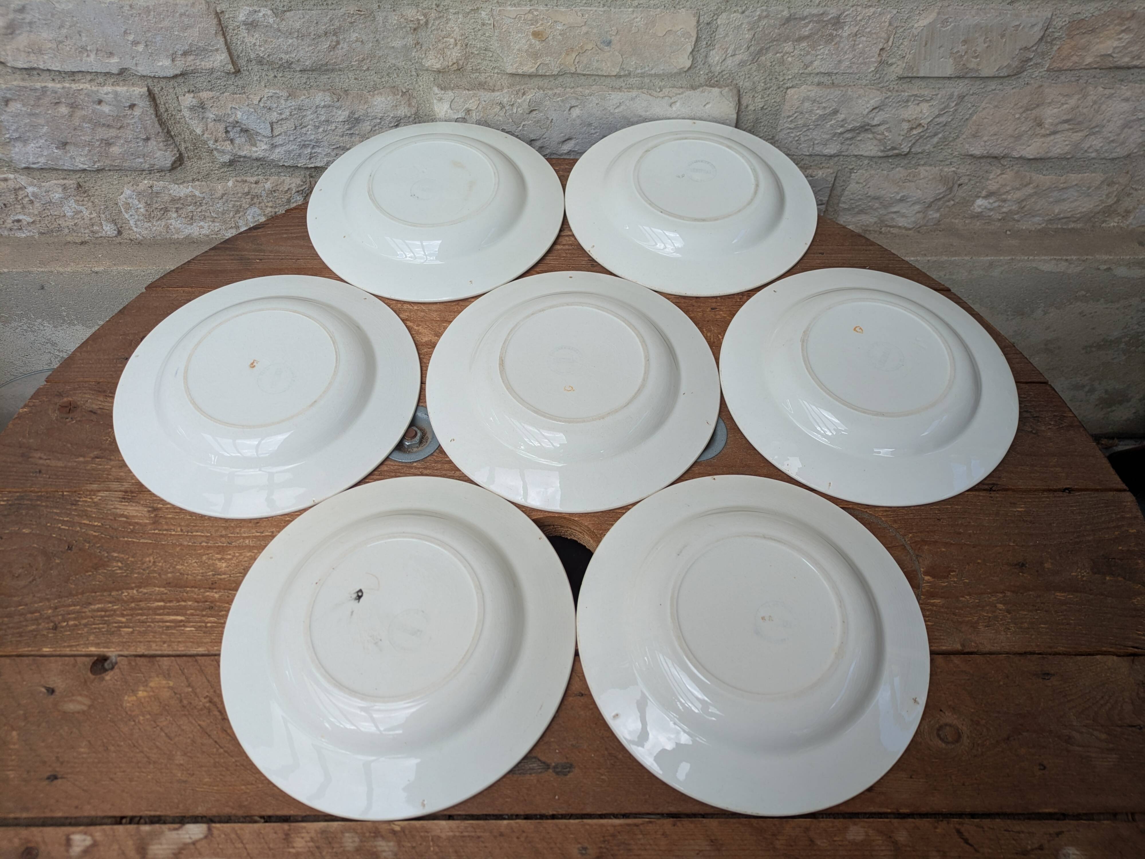 7 old deep plates in Salins earthenware model Nénuphar 24.5cm