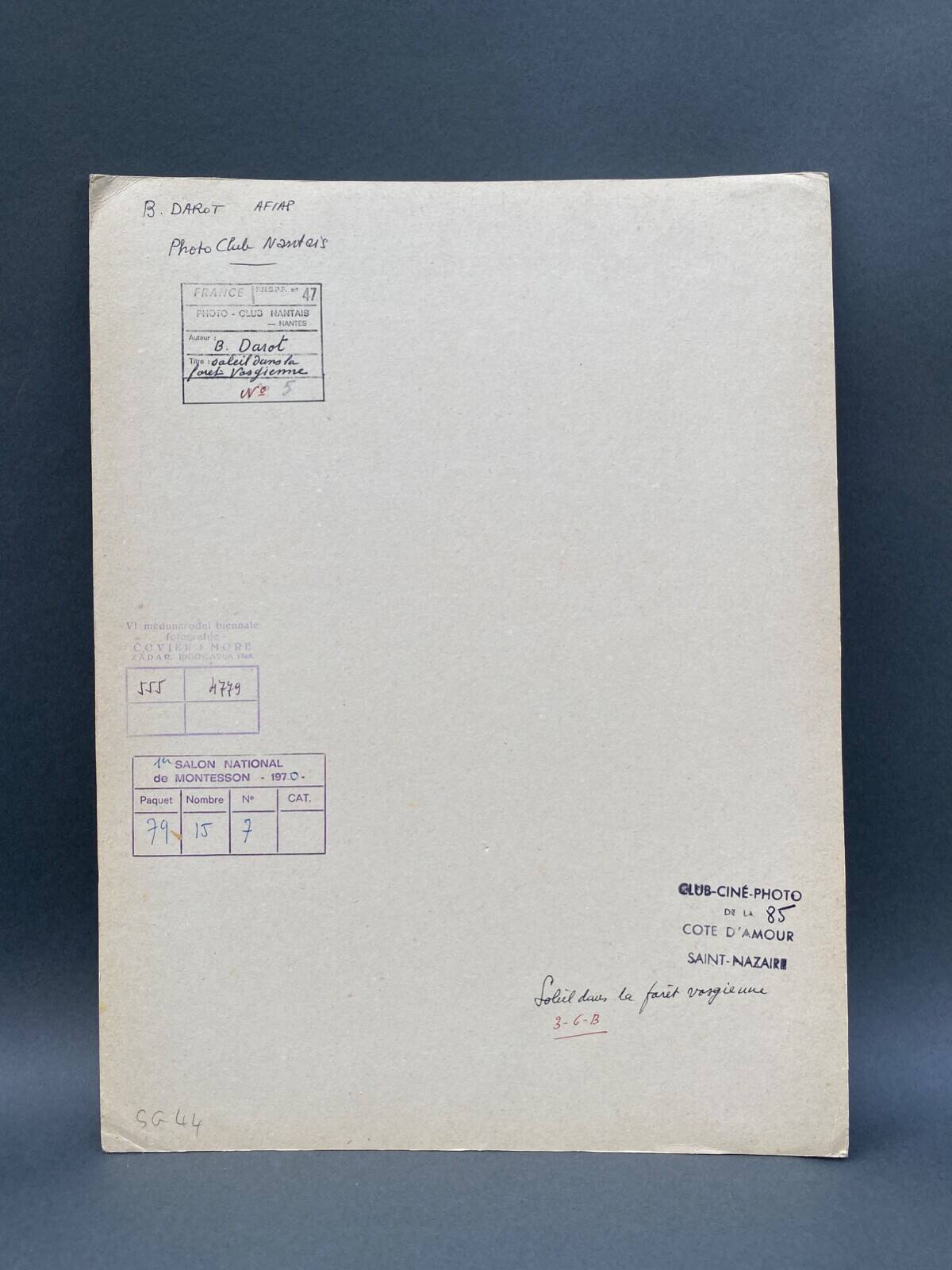 Film photography by Bernard Darot, Sun, Vosges Forest, Nantes Club