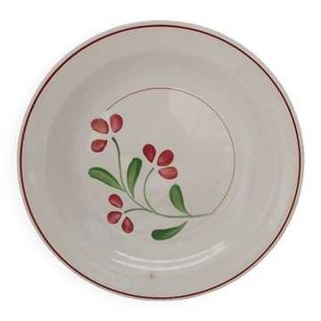 Old dish Salins France