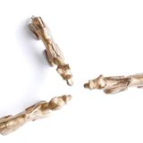 Brass dromadaires, 1950s