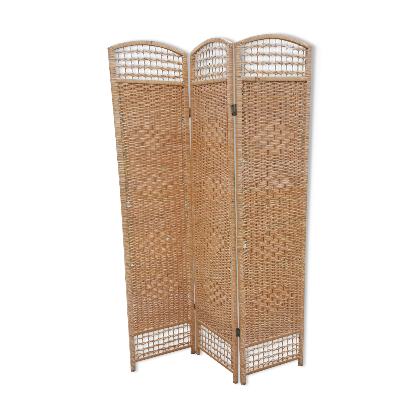 Screen osier 3 leaves