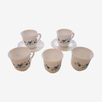 Set of 5 cups myosotis 1970s