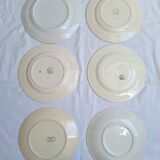 Vintage blue pink green dinner plates