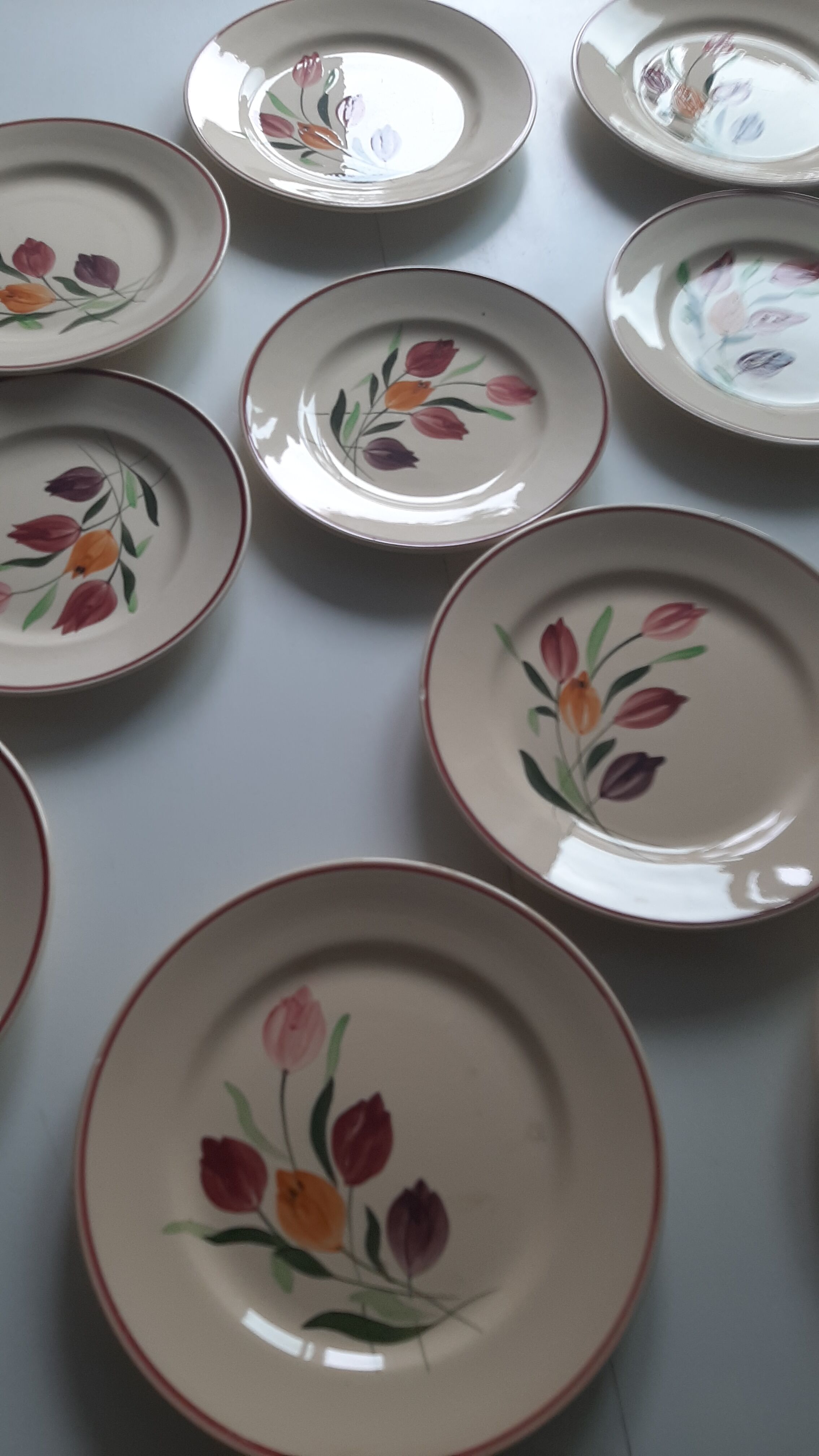 Longchamp earthenware plates