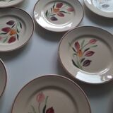 Longchamp earthenware plates