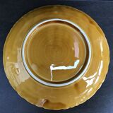 Dish in Sarreguemines slip