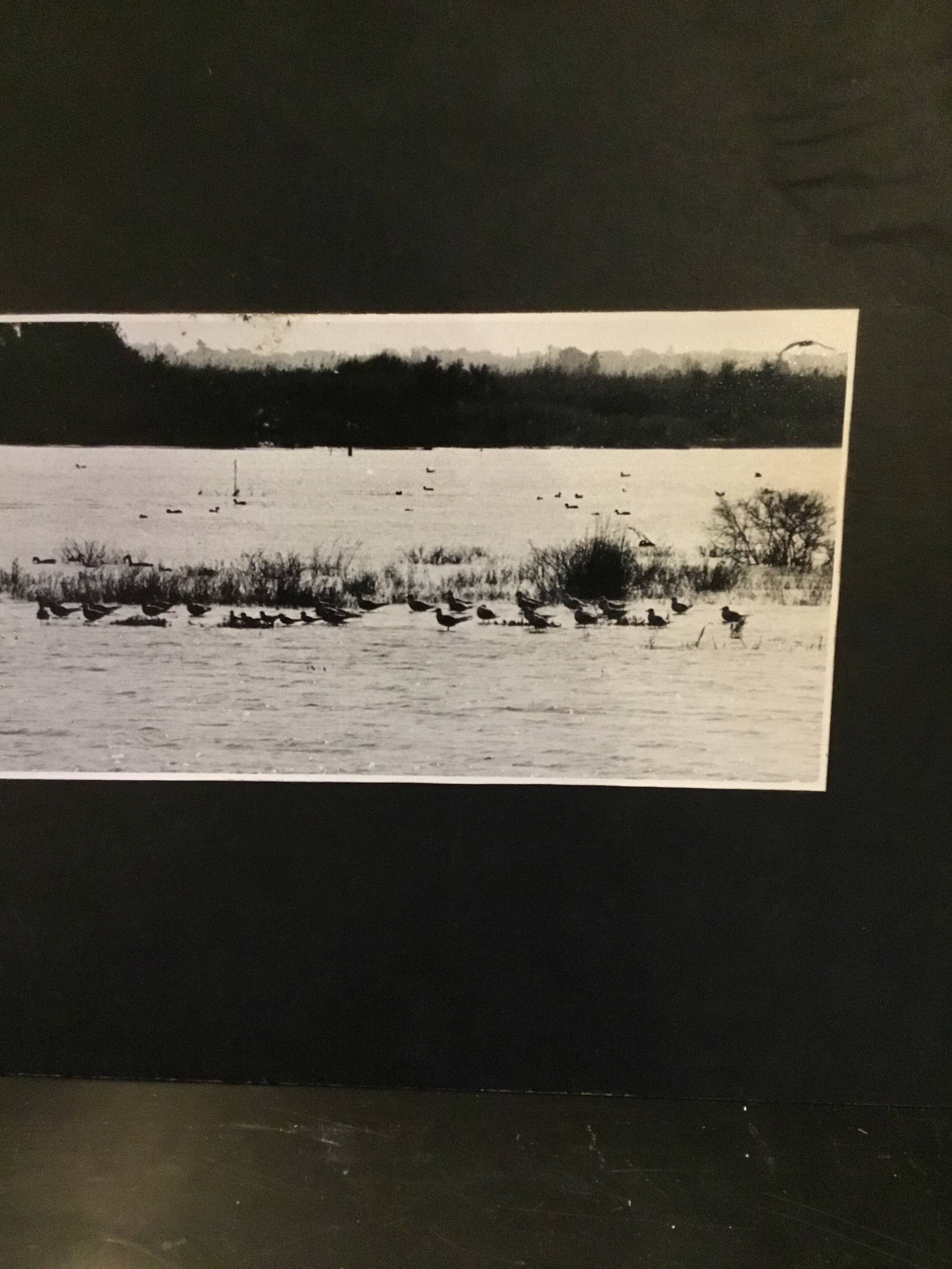 Tirage photo argentique noir et blanc paysage