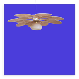 Old suspension vintage globe and petals in linen and rattan