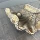 Shell-shaped coffee table in carved wood, 20th century