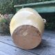 Old ceramic pot